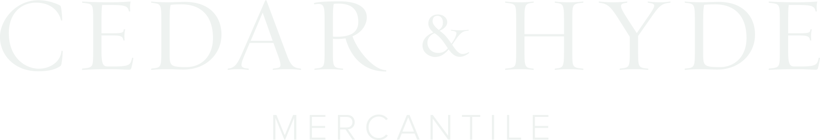 Cedar and Hyde PPC Agency